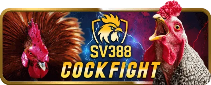 Khuyến mãi và lợi ích khi chơi tại 23win